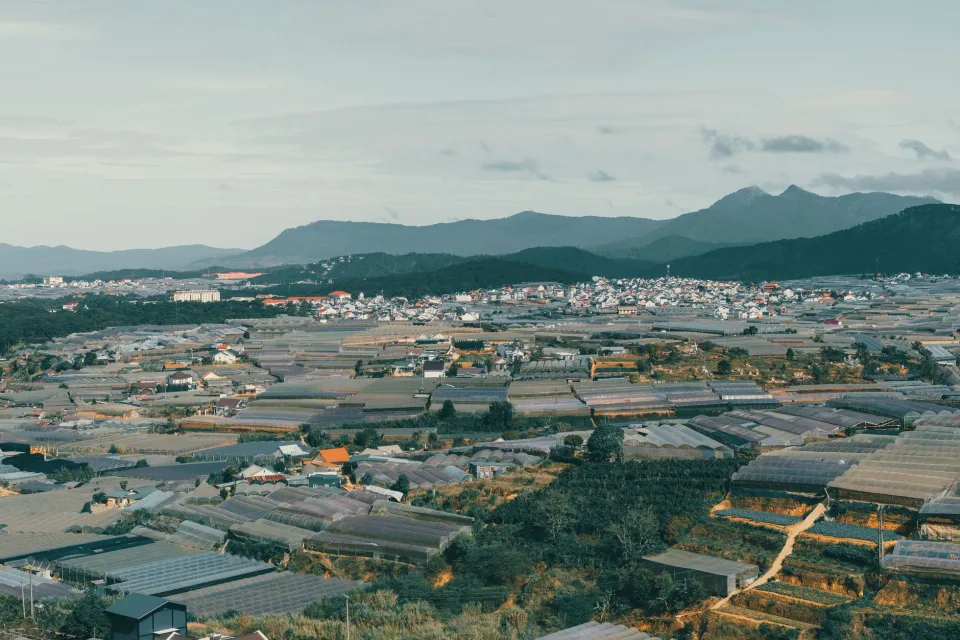 Tại Nguyễn Thị Diễm